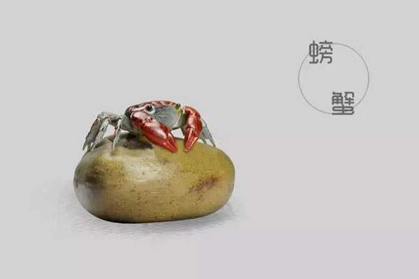 史上最全茶宠图鉴_茶宠图片大全