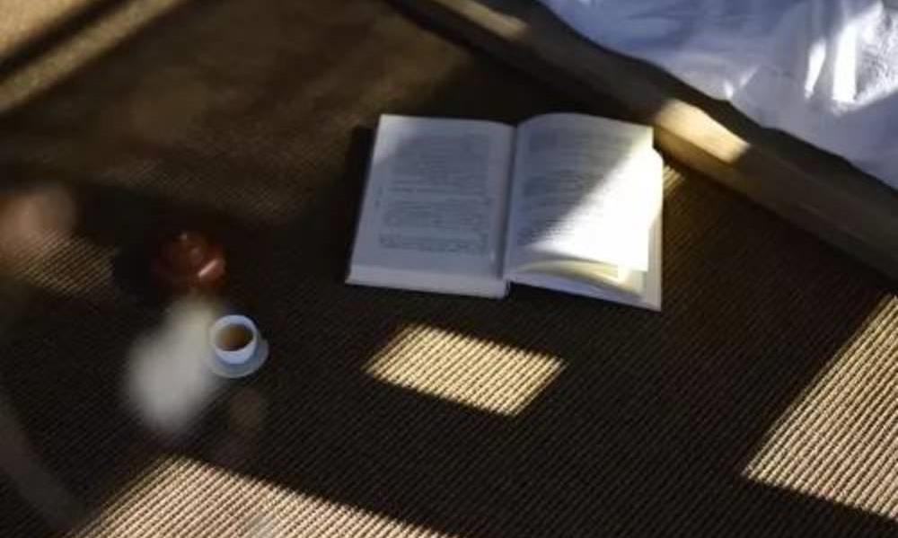 冰心家的茶事