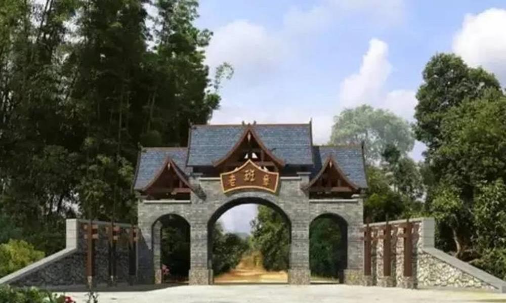 新班章与老班章有什么区别?