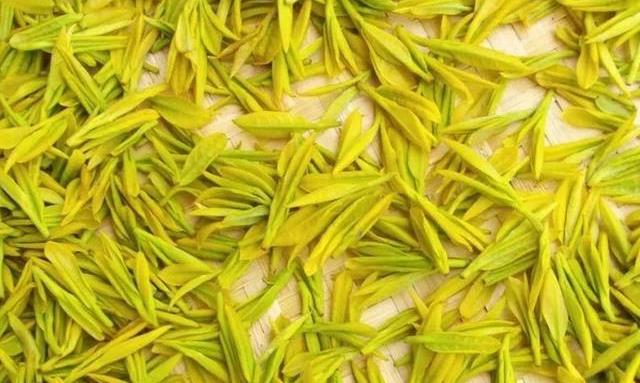 一分钟带你认识黄茶