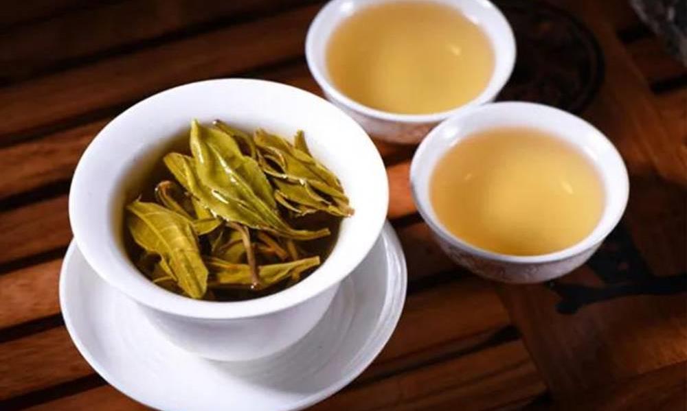 《茶经》中为何没有云南茶区？