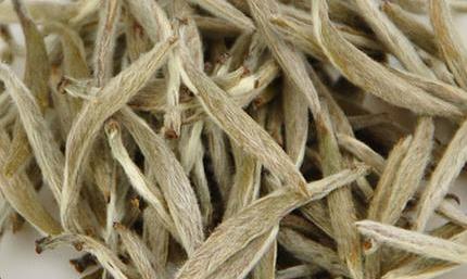 白茶的“新”“老”你分的清吗?