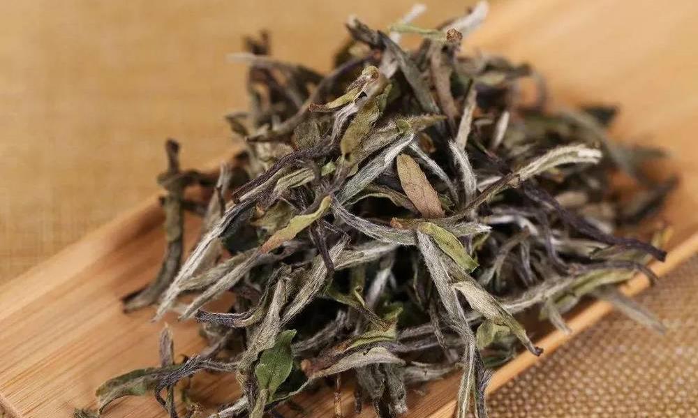 干度不够不能要!教你4招,识别福鼎白茶干度