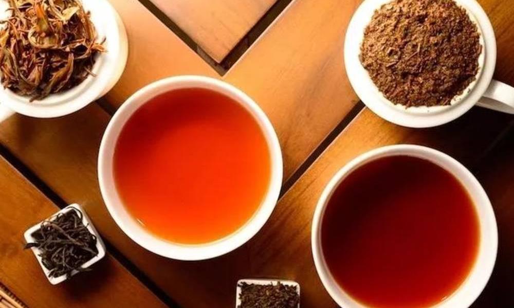 茶中竟然蕴藏着这么多智慧