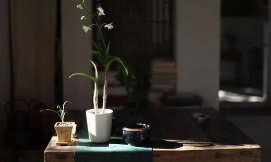 心中有道,倒茶即茶道;心中无道,茶道为倒茶。