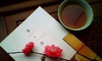 有茶有书，生活闲滋味