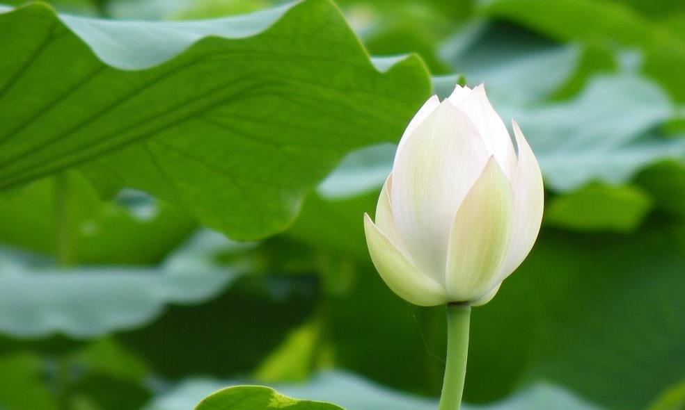 大处难处看能力,小处细处看修养