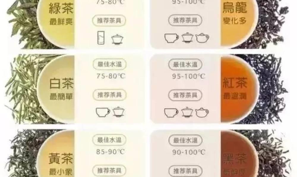 茶叶入门知识,这篇最靠谱