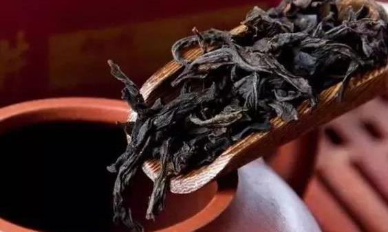 武夷岩茶“条索”和“叶底”的秘密