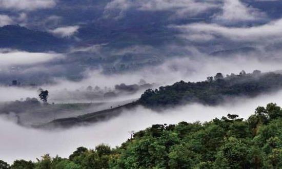 古六大茶山中央的曼庄茶山,你了解多少?
