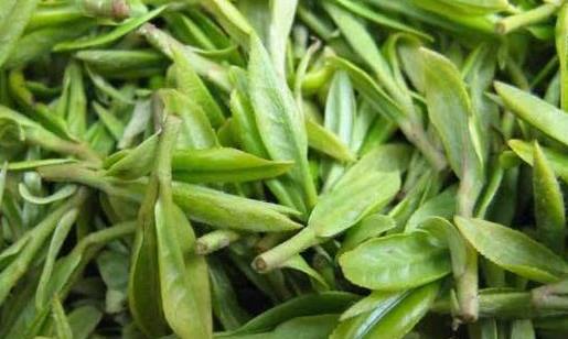 社前茶、明前茶、雨前茶，如何区分定义？