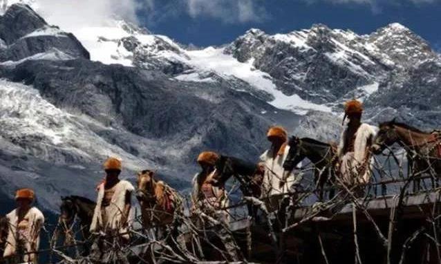 高端茶or边角料?席卷奶茶店的“碎银子”真的有那么高贵吗?