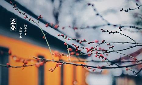 立春:“春燥”来了怎么办?