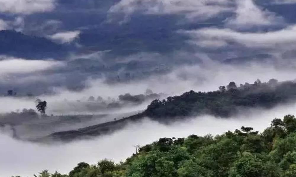 普洱茶的六大茶山