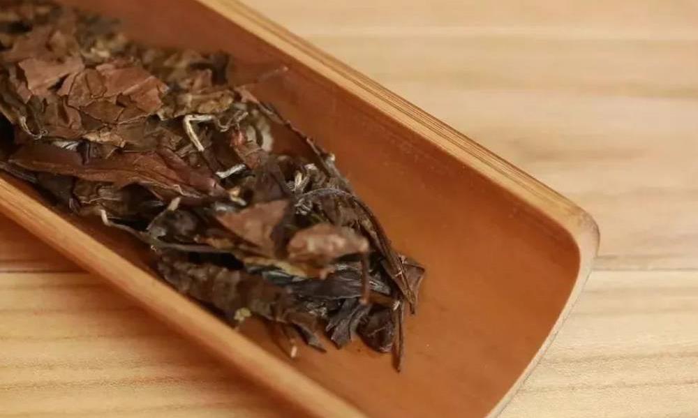 冬天适合煮什么茶？看了就会操作的实用“煮茶攻略”