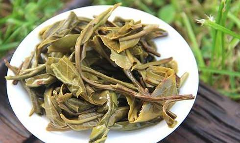 茶姑娘的故事：身世之源