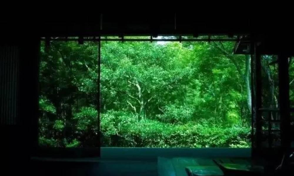 竹帘下，煮茶香