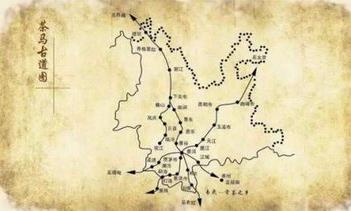 茶的5000年历史，你知道多少？