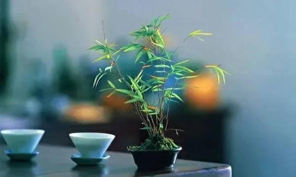 喝茶必遇的“六个”问题！