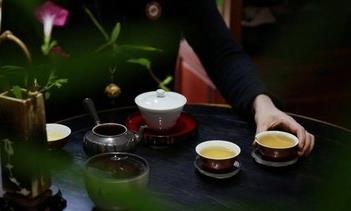 好的茶,当然配懂的人|做茶的人,不一定懂茶