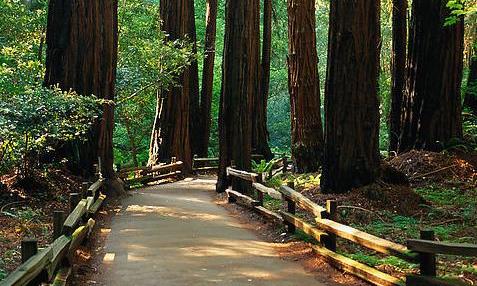 “世外桃源”，只愿身在此山中！