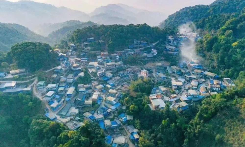 海拔越高,茶叶品质就一定越好吗?