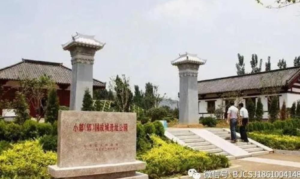 山东发现世界最早的茶叶，茶文化起源提前至少300年