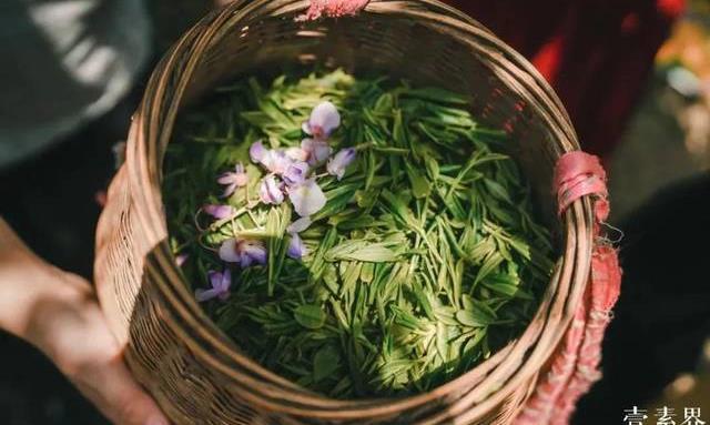 顾渚紫笋茶在中国贡茶史上的地位