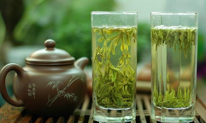 头春茶和头采茶你分的清吗？