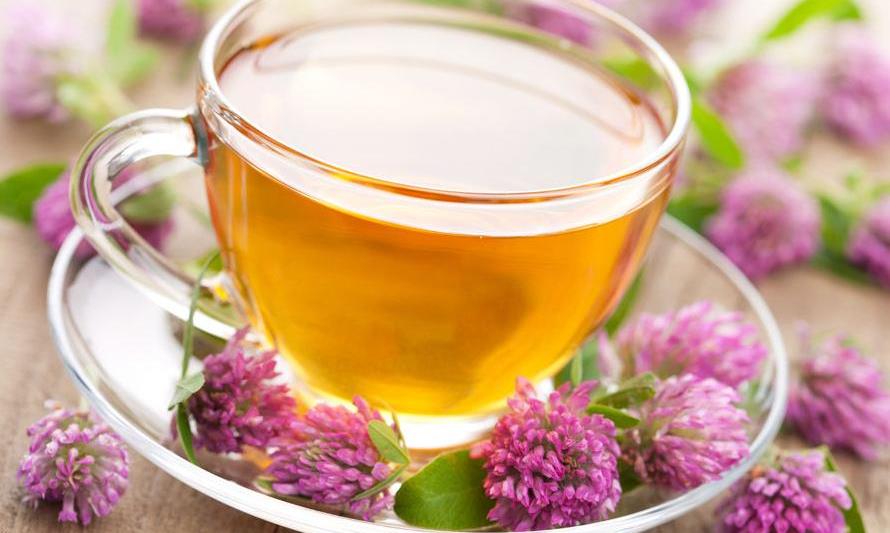 一杯花茶，解春日之困倦！