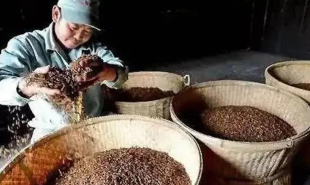 红茶，是越红越好吗？