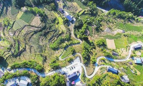 恩施市 古韵新景头茶园