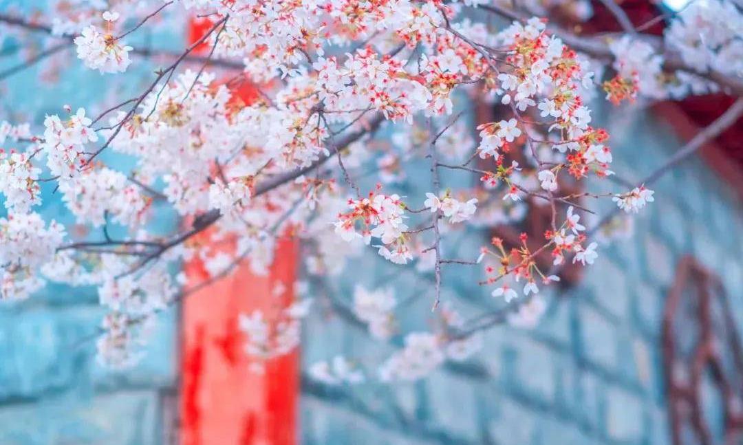 人生真味,一书一墨,一雨一茶