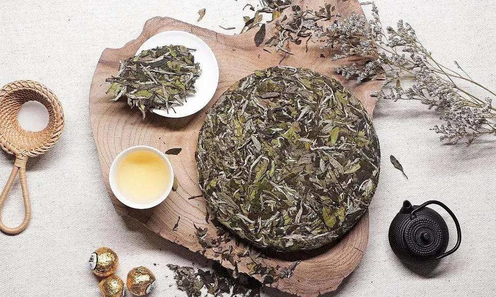 白茶是什么茶?25个关于白茶的”小白“知识,建议收藏!