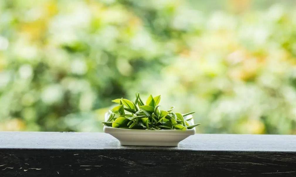 茶禅一味:品尽人间清苦味,方悟心中一味禅