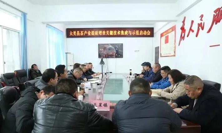 专家组团助力,大关茶产业将迎来发展的春天