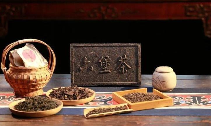 广西梧州大力推进六堡茶产业发展