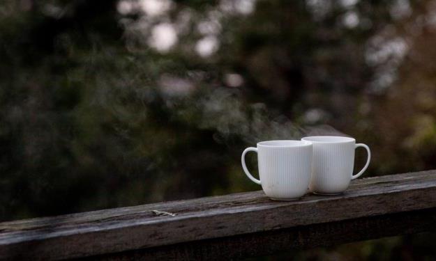 沸水沏好茶 人生须沉浮