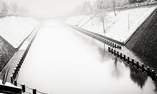 一壶茶，一本书，一知己