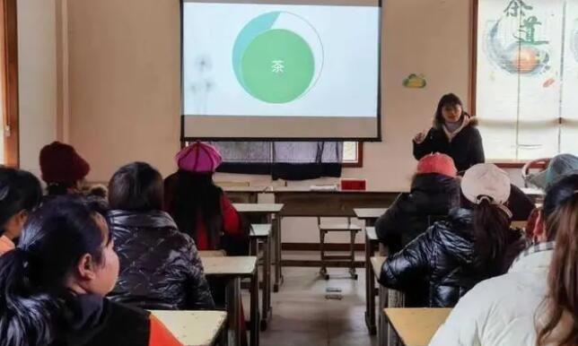 人勤春来早,春茶备采忙——“科创凉都”市科协智库专家服务活动