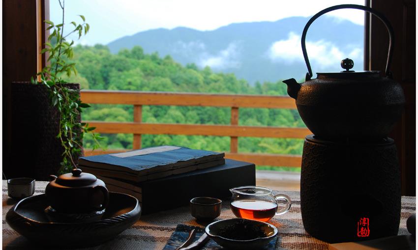 你知道茶的“头春”与“头采”是什么意思吗？