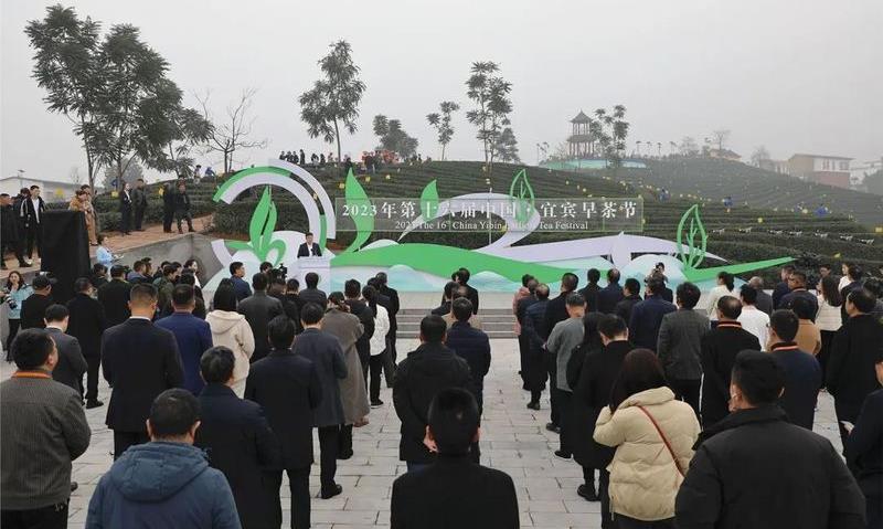 “普洱市获首个茶树新品种”“2025年云茶全产业链”“贵州茶业经济年会”