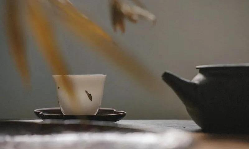 泡一杯好茶,敬我生命中的贵人