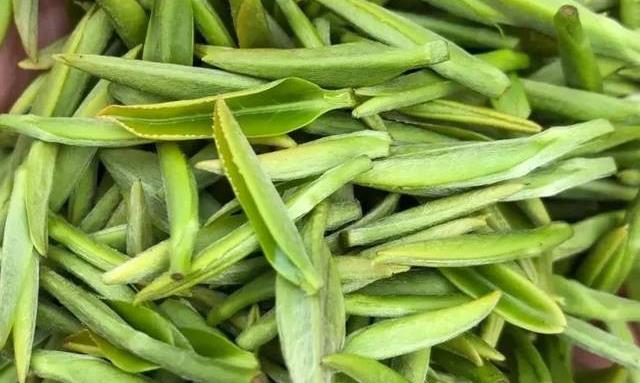 春天喝茶的15个好处