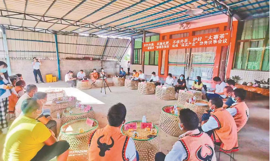 耿马县政协“协商在基层”助推大寨茶产业高质量发展记