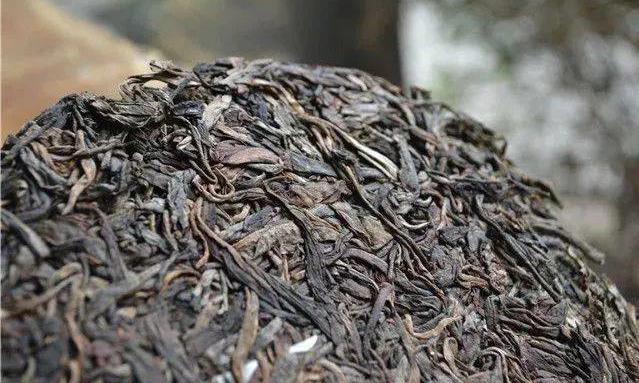 普洱干茶色泽油亮,包含哪些信息?