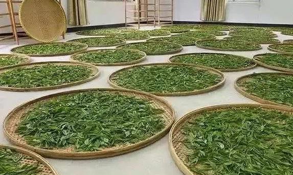 太平猴魁制作技艺