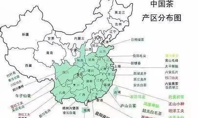记下这份好茶地图，走到哪都能喝好茶