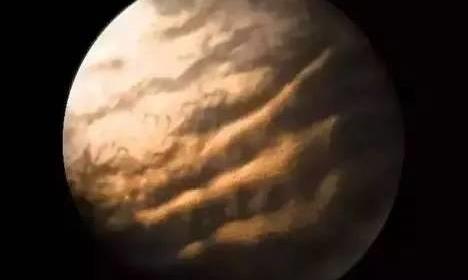 你有没有想过，显微镜下的茶汤是什么样的？