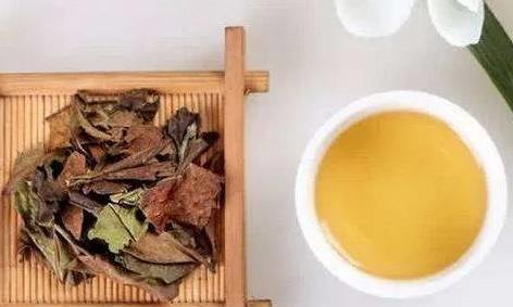 老白茶造假手段揭密